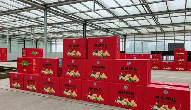 农产品礼盒选型关注点：有机蔬菜的处理方法